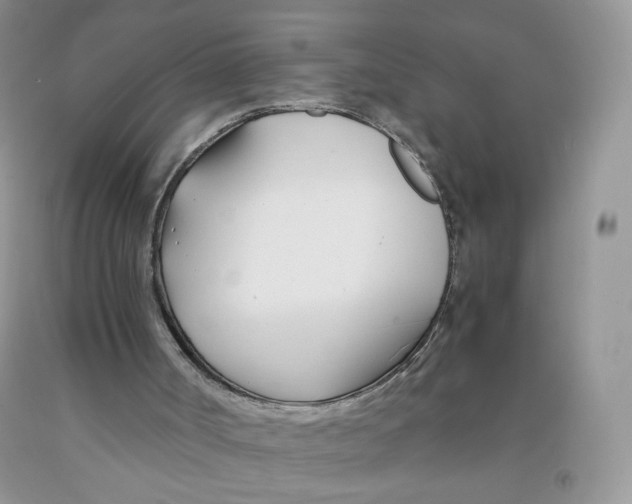 X0000091300002200709071103