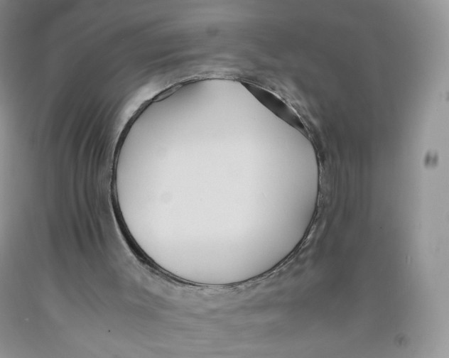 X0000091300003200709071103