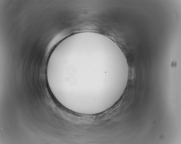 X0000091300004200709071103