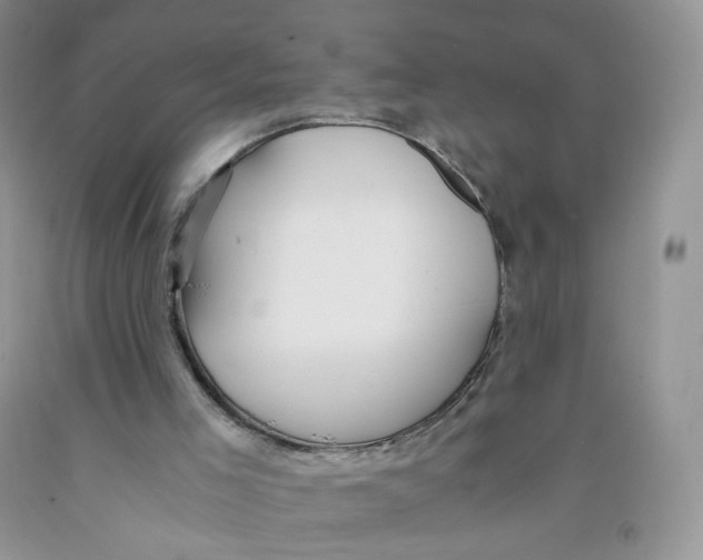 X0000091300005200709071103