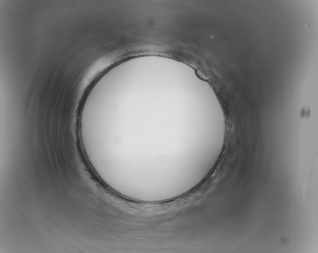 X0000091300006200709071103