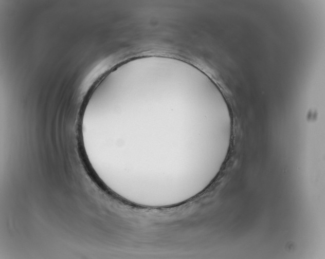 X0000091300007200709071103