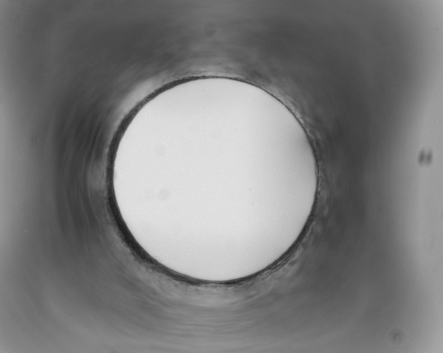 X0000091300008200709071103