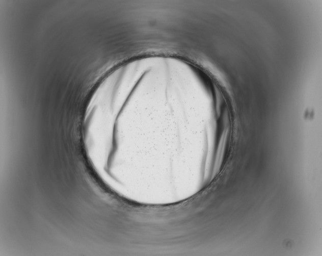 X0000091300009200709071103