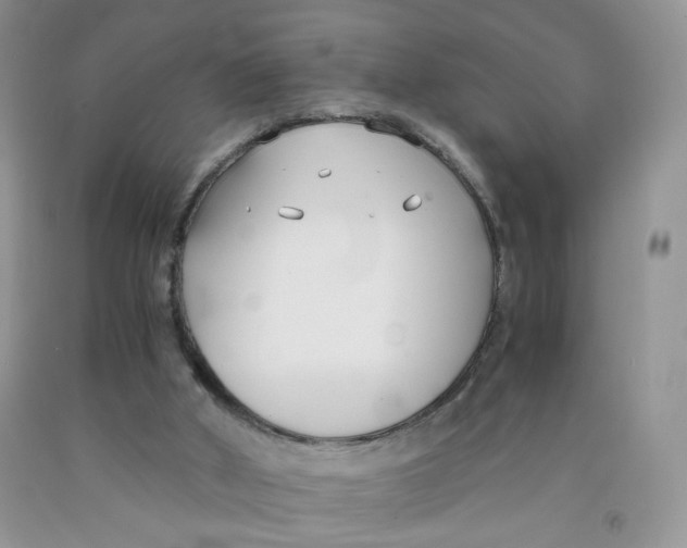 X0000091300010200709071103