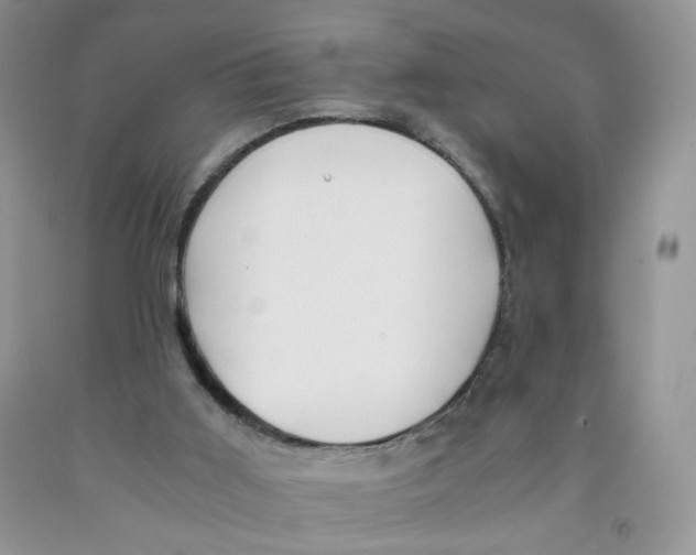 X0000091300011200709071102