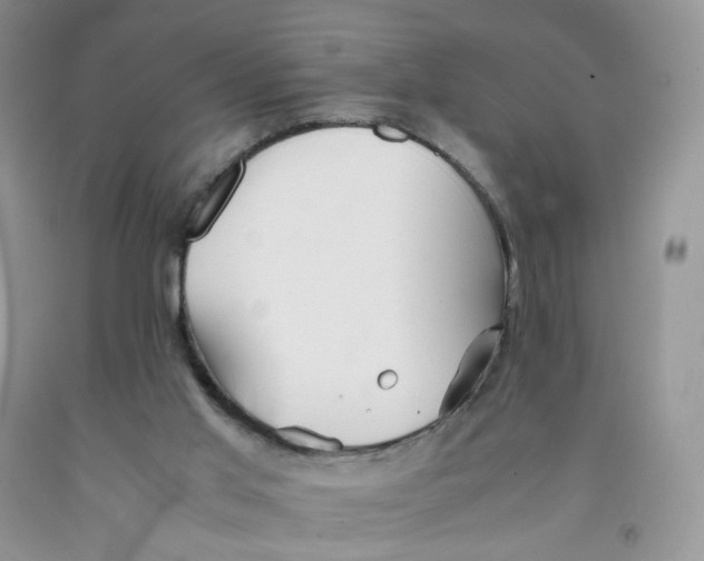 X0000091300013200709071102