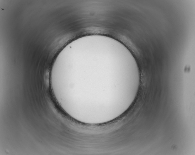 X0000091300014200709071102