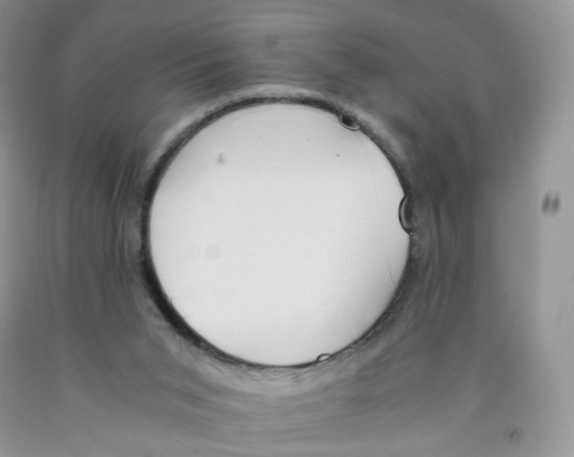 X0000091300015200709071102