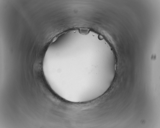 X0000091300017200709071102