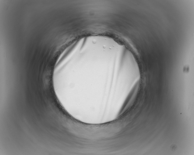 X0000091300018200709071102