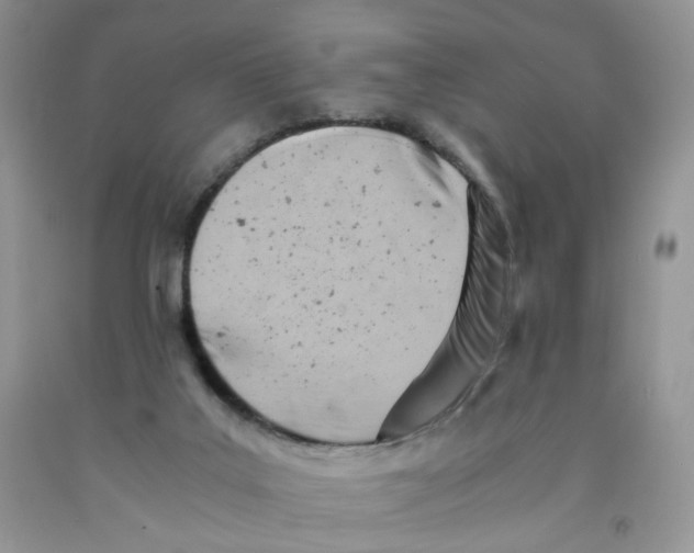 X0000091300019200709071102