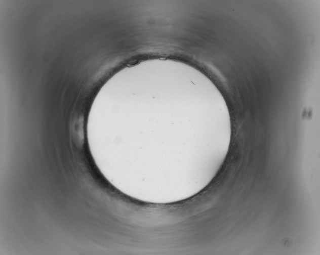 X0000091300020200709071102