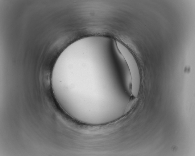 X0000091300021200709071102