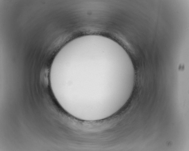 X0000091300022200709071102