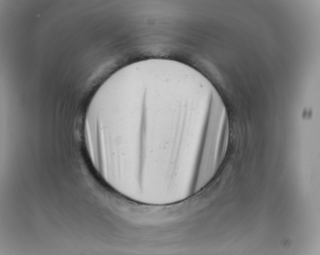 X0000091300023200709071102