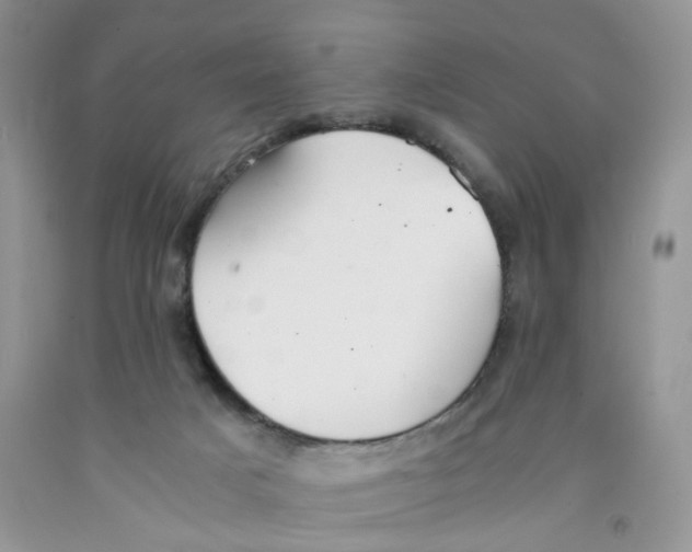 X0000091300025200709071102