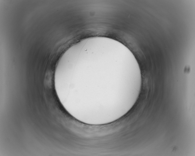 X0000091300026200709071102