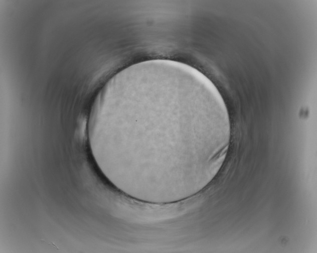 X0000091300027200709071102