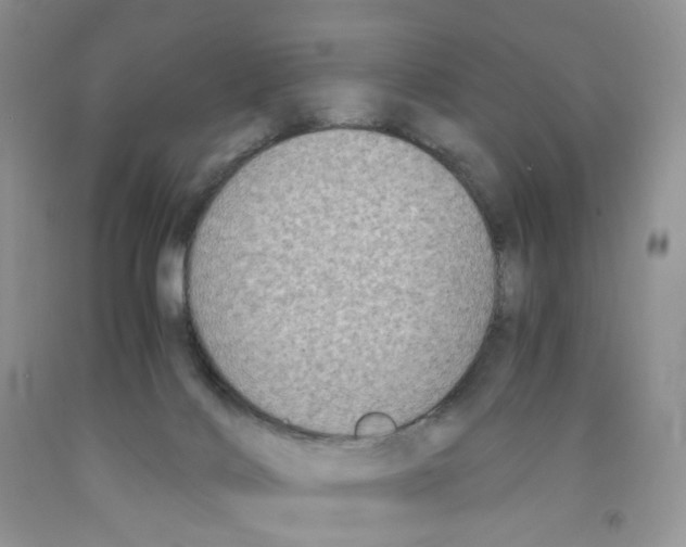 X0000091300028200709071102