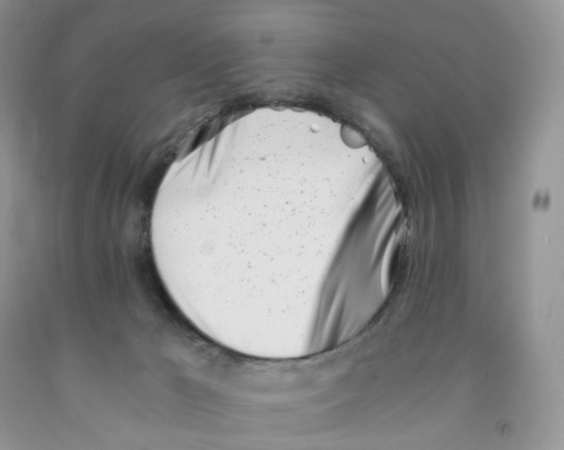 X0000091300029200709071102