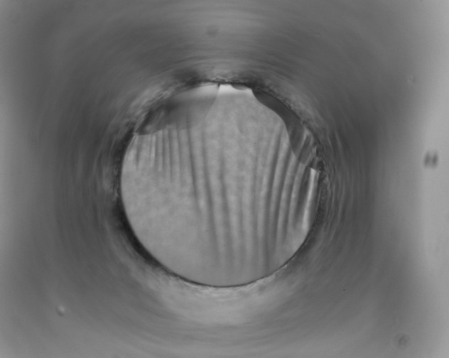 X0000091300031200709071102