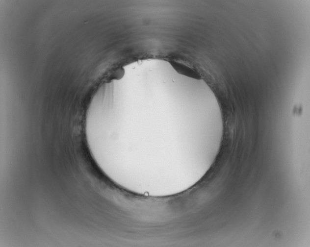 X0000091300032200709071102