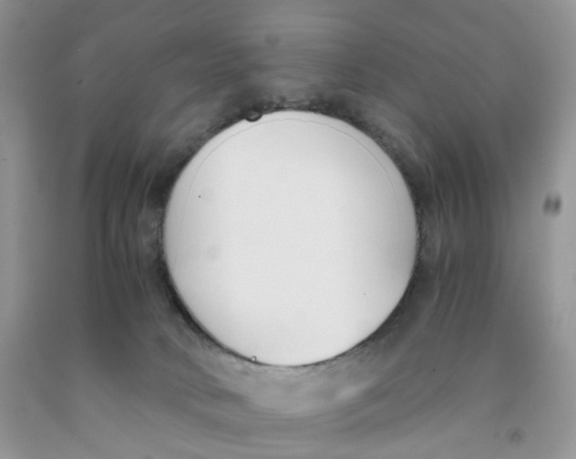 X0000091300034200709071102