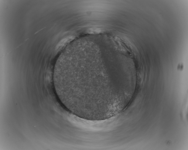 X0000091300035200709071102