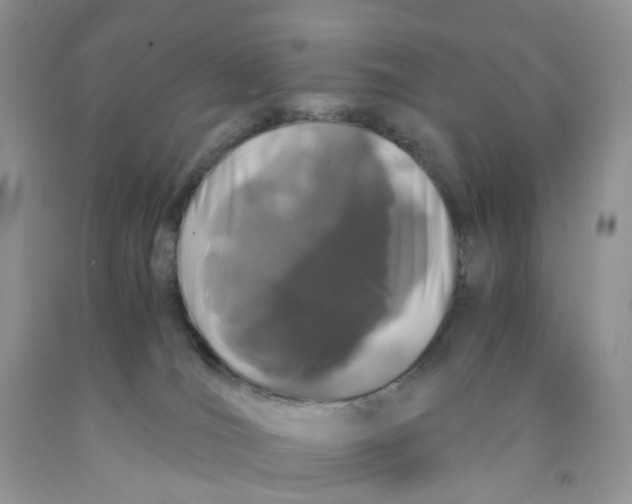 X0000091300036200709071102