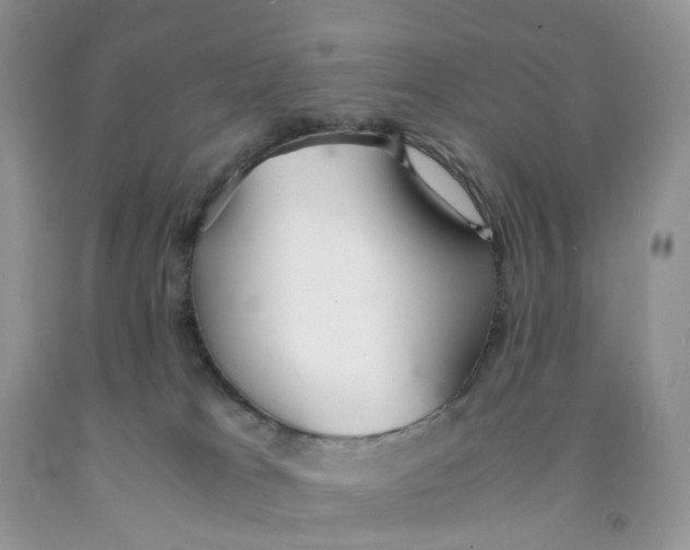 X0000091300037200709071102