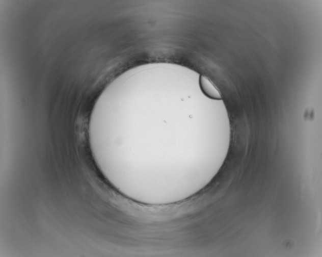 X0000091300038200709071102