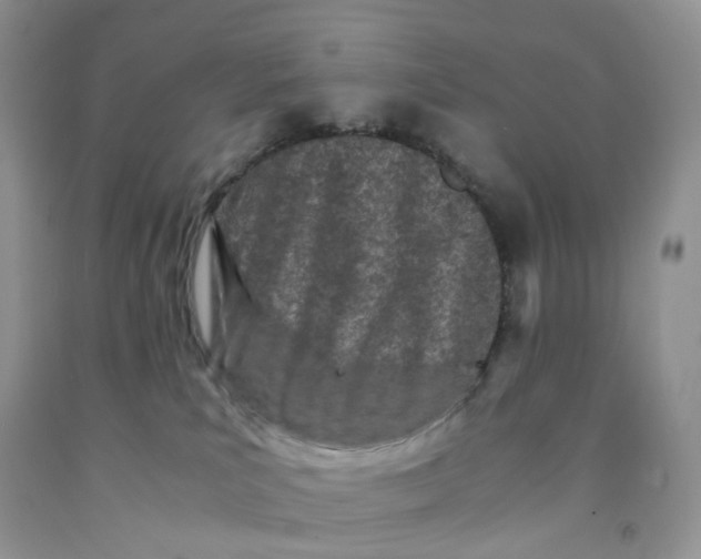 X0000091300039200709071102