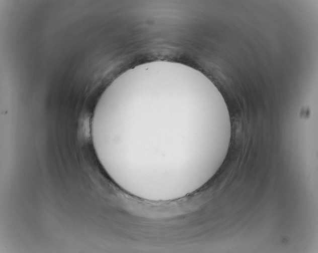 X0000091300042200709071102