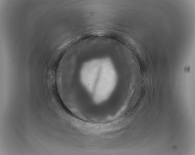 X0000091300043200709071102