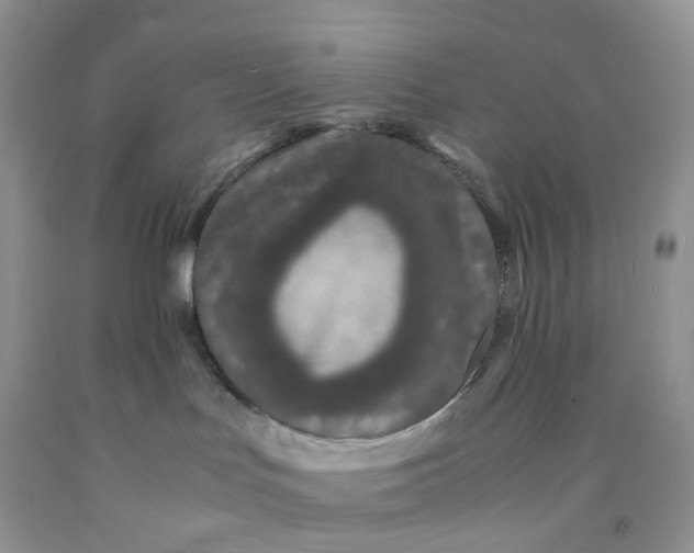 X0000091300047200709071102