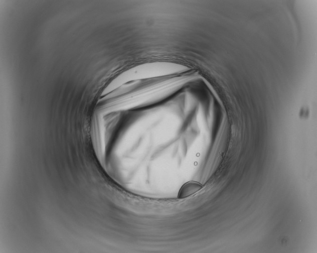 X0000091300048200709071102