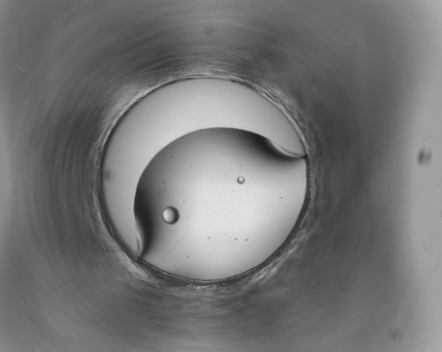 X0000091300049200709071101