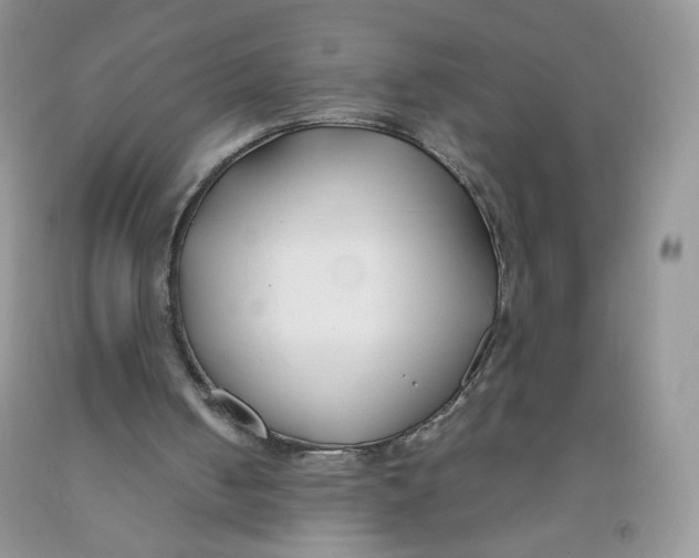 X0000091300050200709071101