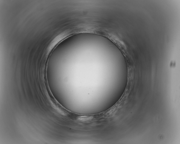 X0000091300051200709071101