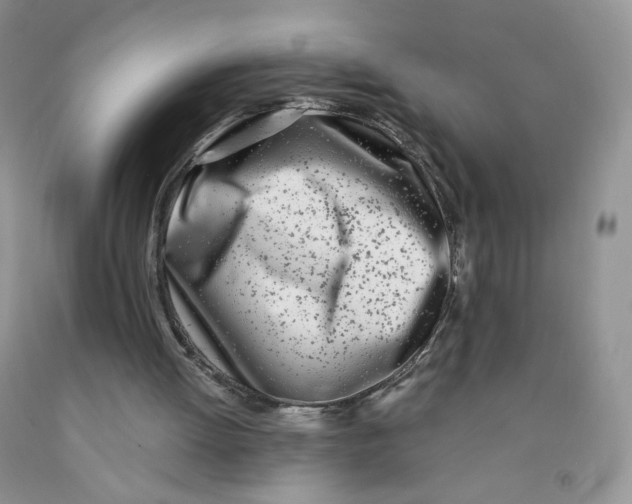 X0000091300052200709071101