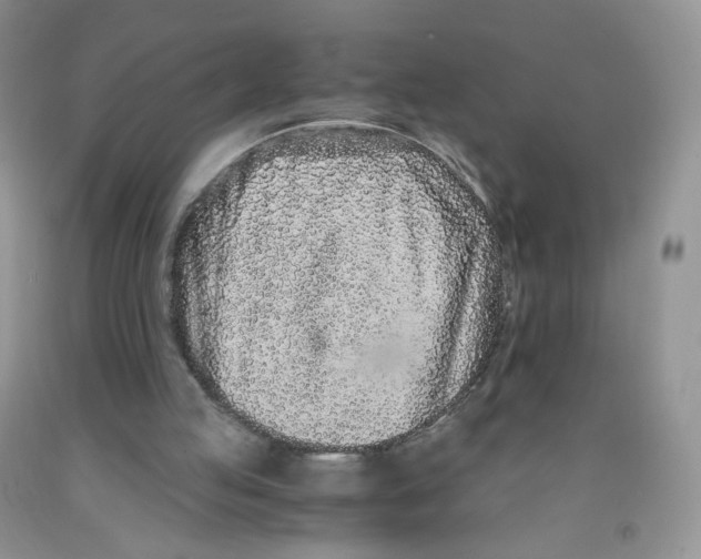 X0000091300053200709071101