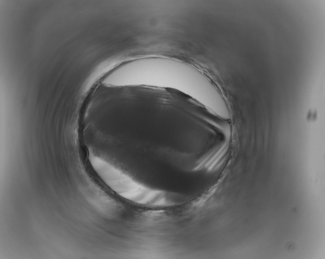 X0000091300054200709071101