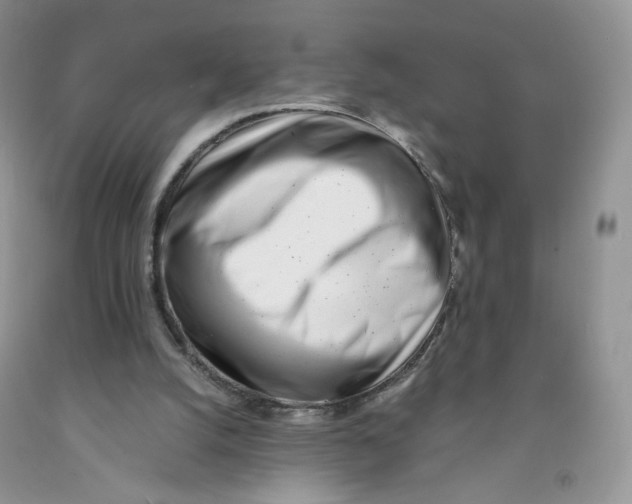 X0000091300056200709071102