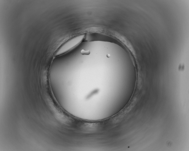 X0000091300057200709071102