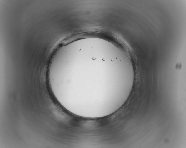 X0000091300058200709071102