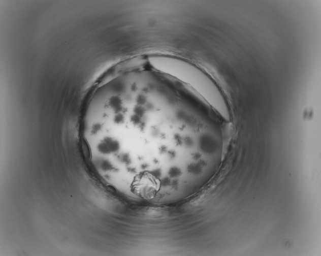 X0000091300060200709071102