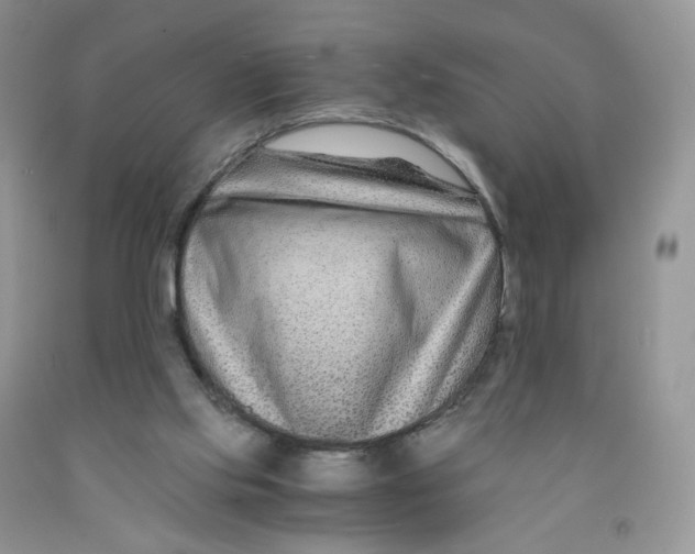 X0000091300061200709071102