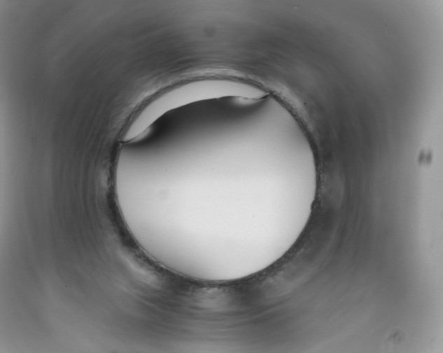 X0000091300063200709071102