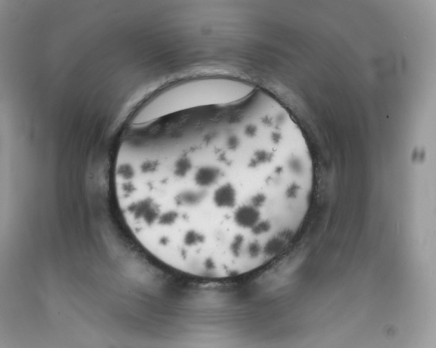 X0000091300064200709071102